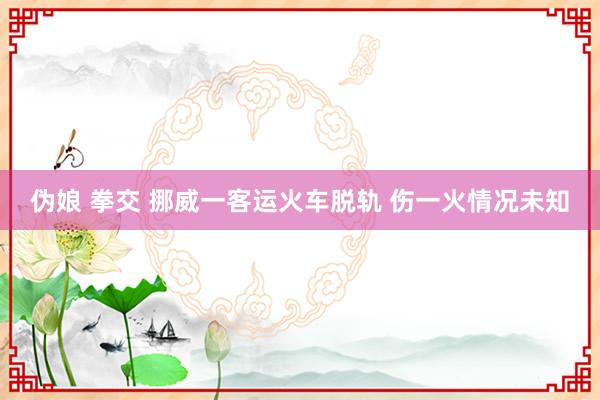 伪娘 拳交 挪威一客运火车脱轨 伤一火情况未知