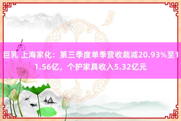 巨乳 上海家化：第三季度单季营收裁减20.93%至11.56亿，个护家具收入5.32亿元