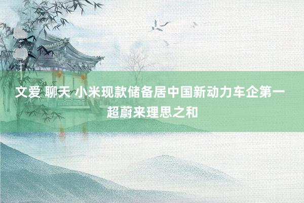 文爱 聊天 小米现款储备居中国新动力车企第一 超蔚来理思之和