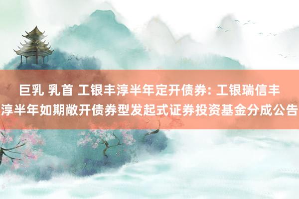 巨乳 乳首 工银丰淳半年定开债券: 工银瑞信丰淳半年如期敞开债券型发起式证券投资基金分成公告