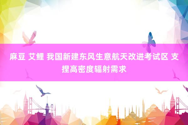 麻豆 艾鲤 我国新建东风生意航天改进考试区 支捏高密度辐射需求