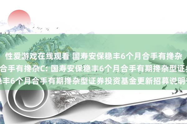 性爱游戏在线观看 国寿安保稳丰6个月合手有搀杂A,国寿安保稳丰6个月合手有搀杂C: 国寿安保稳丰6个月合手有期搀杂型证券投资基金更新招募说明书