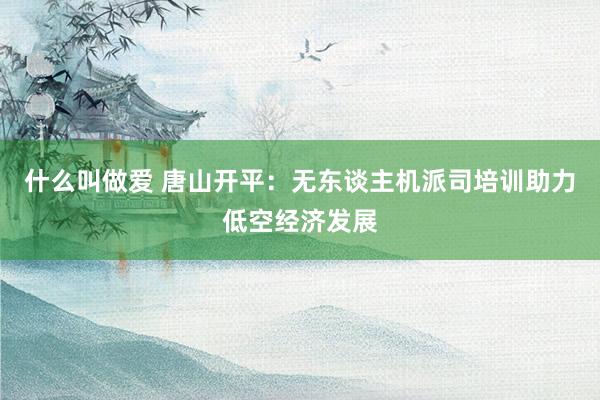 什么叫做爱 唐山开平：无东谈主机派司培训助力低空经济发展