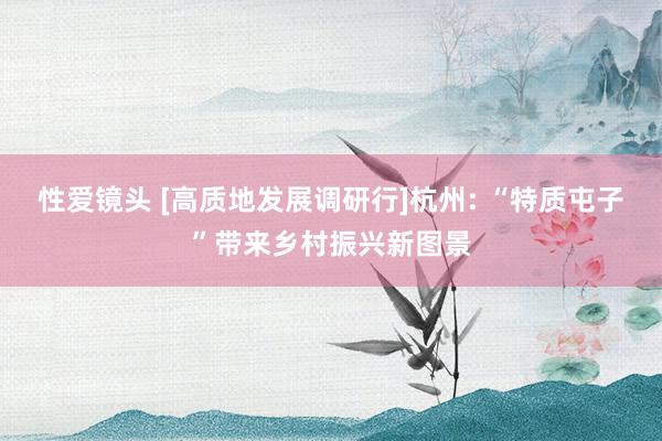 性爱镜头 [高质地发展调研行]杭州: “特质屯子”带来乡村振兴新图景