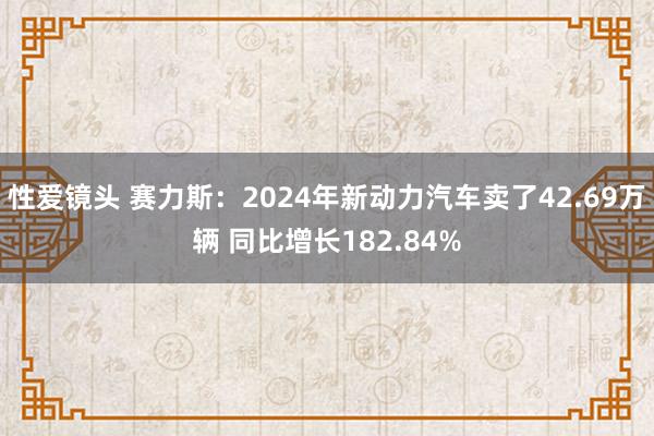 性爱镜头 赛力斯：2024年新动力汽车卖了42.69万辆 同比增长182.84%