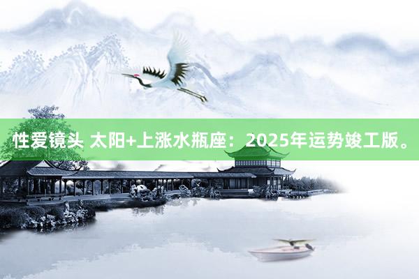 性爱镜头 太阳+上涨水瓶座：2025年运势竣工版。