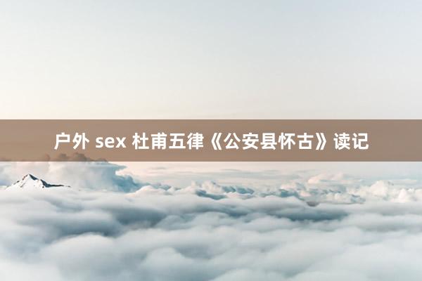 户外 sex 杜甫五律《公安县怀古》读记