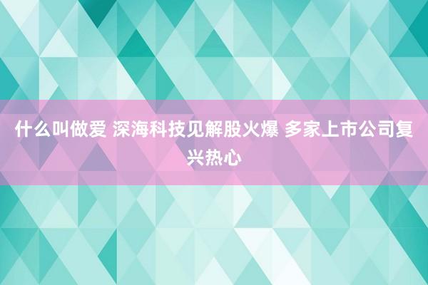 什么叫做爱 深海科技见解股火爆 多家上市公司复兴热心