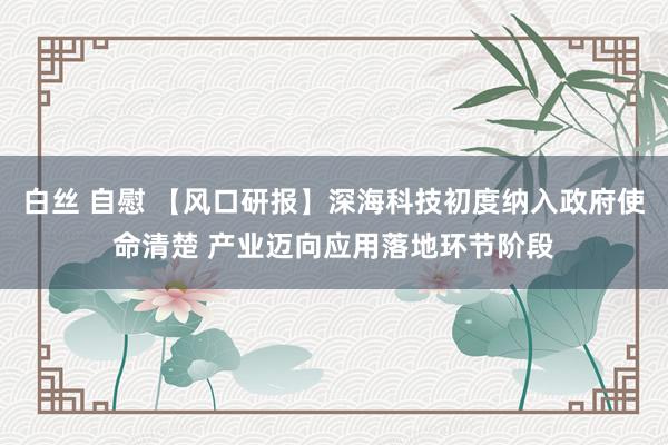 白丝 自慰 【风口研报】深海科技初度纳入政府使命清楚 产业迈向应用落地环节阶段
