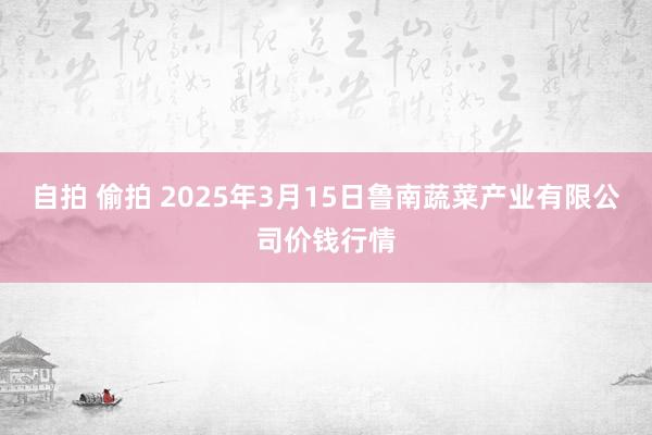 自拍 偷拍 2025年3月15日鲁南蔬菜产业有限公司价钱行情