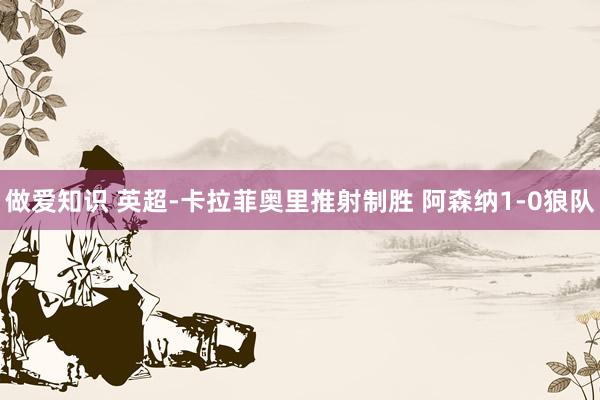 做爱知识 英超-卡拉菲奥里推射制胜 阿森纳1-0狼队