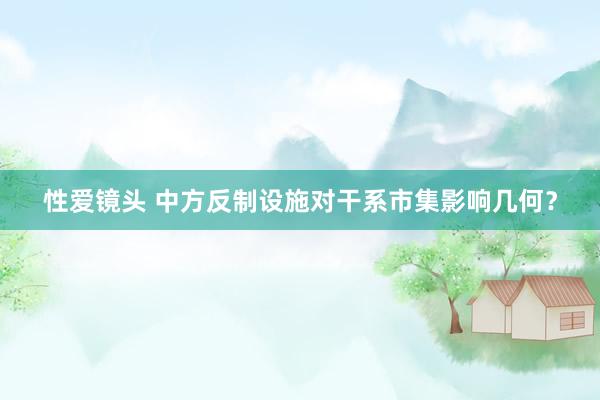 性爱镜头 中方反制设施对干系市集影响几何？