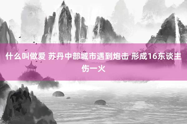 什么叫做爱 苏丹中部城市遇到炮击 形成16东谈主伤一火