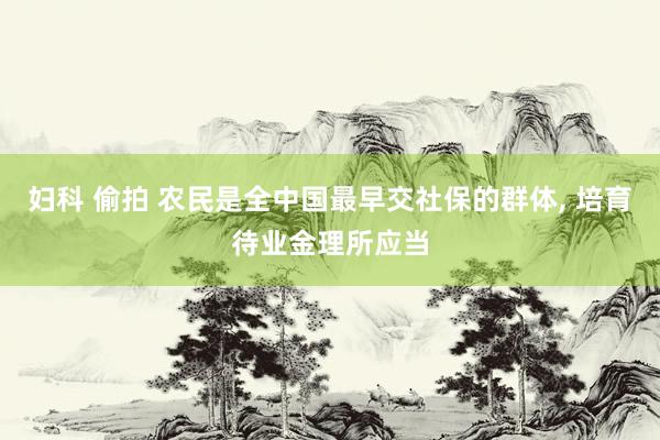 妇科 偷拍 农民是全中国最早交社保的群体， 培育待业金理所应当