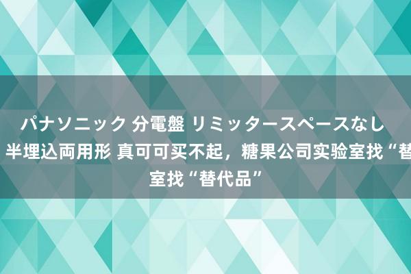 パナソニック 分電盤 リミッタースペースなし 露出・半埋込両用形 真可可买不起，糖果公司实验室找“替代品”