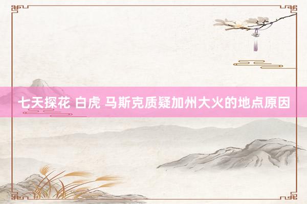 七天探花 白虎 马斯克质疑加州大火的地点原因