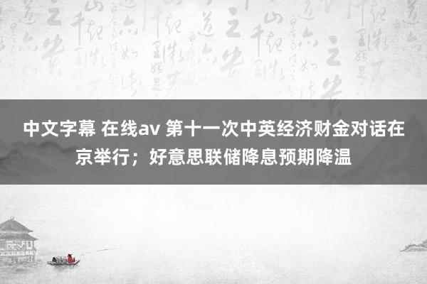 中文字幕 在线av 第十一次中英经济财金对话在京举行；好意思联储降息预期降温
