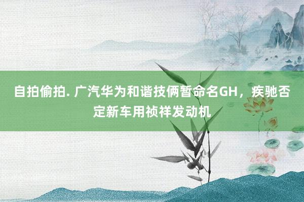 自拍偷拍. 广汽华为和谐技俩暂命名GH，疾驰否定新车用祯祥发动机