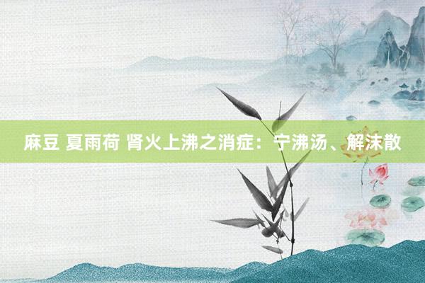 麻豆 夏雨荷 肾火上沸之消症：宁沸汤、解沫散
