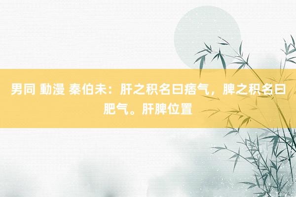男同 動漫 秦伯未：肝之积名曰痞气，脾之积名曰肥气。肝脾位置