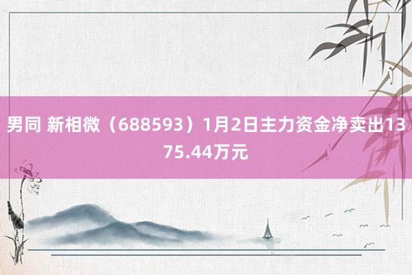 男同 新相微（688593）1月2日主力资金净卖出1375.44万元