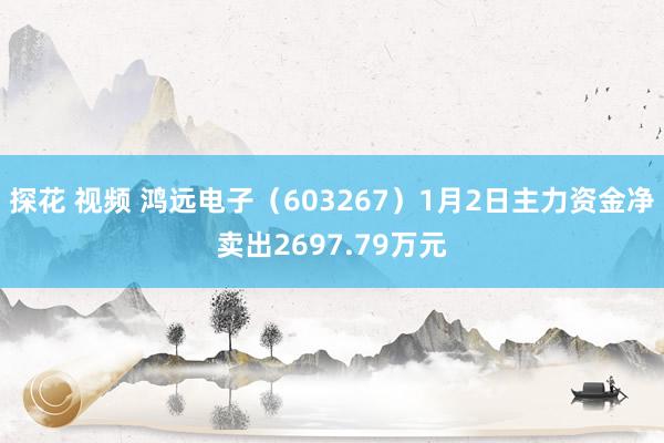 探花 视频 鸿远电子（603267）1月2日主力资金净卖出2697.79万元