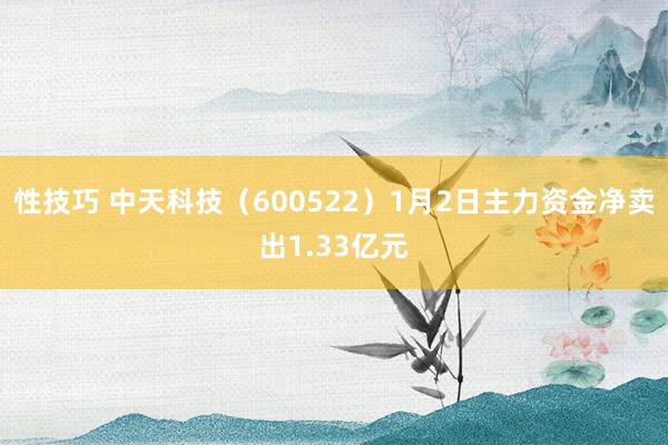 性技巧 中天科技（600522）1月2日主力资金净卖出1.33亿元