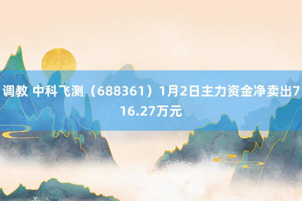 调教 中科飞测（688361）1月2日主力资金净卖出716.27万元