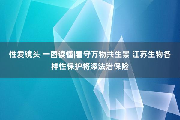 性爱镜头 一图读懂|看守万物共生景 江苏生物各样性保护将添法治保险
