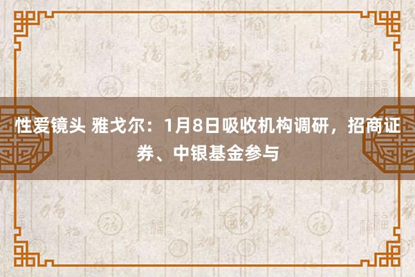 性爱镜头 雅戈尔：1月8日吸收机构调研，招商证券、中银基金参与