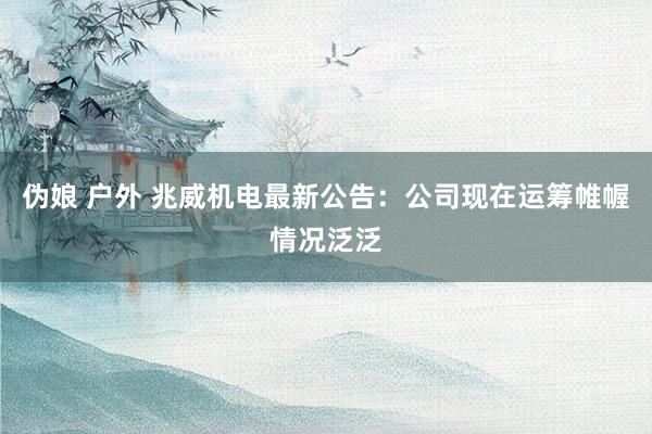 伪娘 户外 兆威机电最新公告：公司现在运筹帷幄情况泛泛