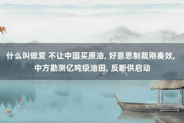 什么叫做爱 不让中国买原油， 好意思制裁刚奏效， 中方勘测亿吨级油田， 反断供启动