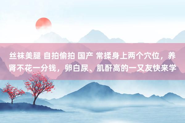 丝袜美腿 自拍偷拍 国产 常揉身上两个穴位，养肾不花一分钱，卵白尿、肌酐高的一又友快来学