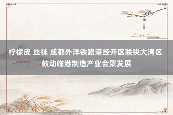 柠檬皮 丝袜 成都外洋铁路港经开区联袂大湾区 鼓动临港制造产业会聚发展