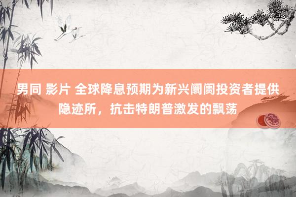 男同 影片 全球降息预期为新兴阛阓投资者提供隐迹所，抗击特朗普激发的飘荡