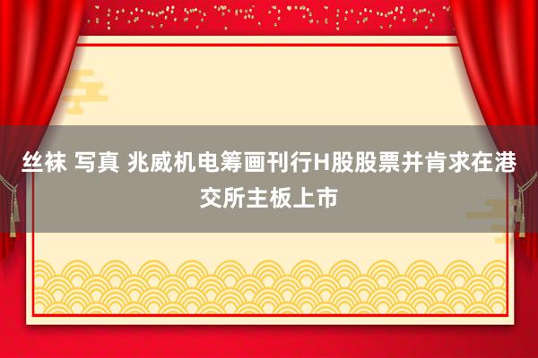 丝袜 写真 兆威机电筹画刊行H股股票并肯求在港交所主板上市