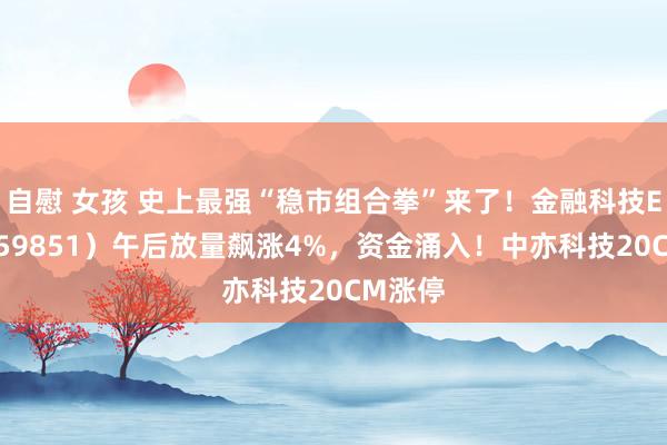 自慰 女孩 史上最强“稳市组合拳”来了！金融科技ETF（159851）午后放量飙涨4%，资金涌入！中亦科技20CM涨停