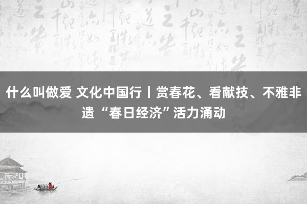 什么叫做爱 文化中国行丨赏春花、看献技、不雅非遗 “春日经济”活力涌动