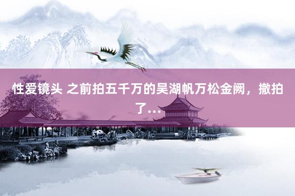性爱镜头 之前拍五千万的吴湖帆万松金阙，撤拍了…