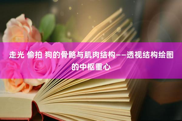 走光 偷拍 狗的骨骼与肌肉结构——透视结构绘图的中枢重心