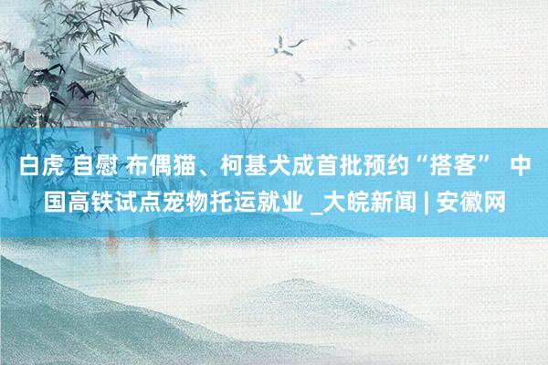 白虎 自慰 布偶猫、柯基犬成首批预约“搭客”  中国高铁试点宠物托运就业 _大皖新闻 | 安徽网