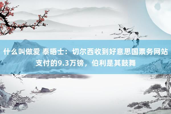 什么叫做爱 泰晤士：切尔西收到好意思国票务网站支付的9.3万镑，伯利是其鼓舞
