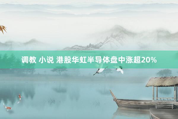 调教 小说 港股华虹半导体盘中涨超20%