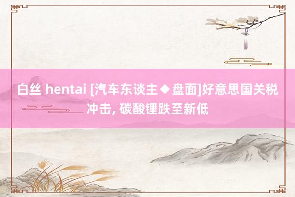 白丝 hentai [汽车东谈主◆盘面]好意思国关税冲击， 碳酸锂跌至新低