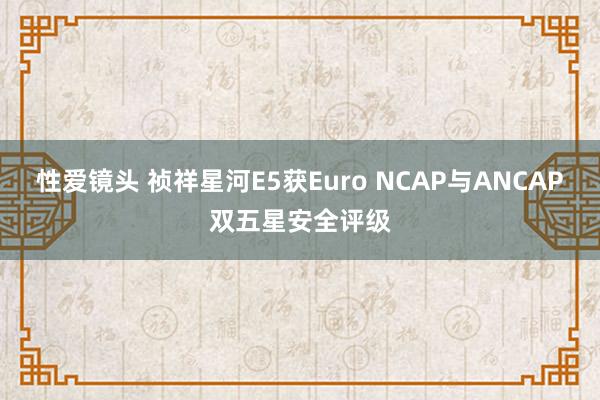 性爱镜头 祯祥星河E5获Euro NCAP与ANCAP双五星安全评级