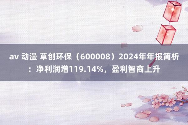 av 动漫 草创环保（600008）2024年年报简析：净利润增119.14%，盈利智商上升