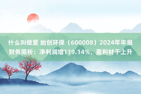 什么叫做爱 始创环保（600008）2024年年报财务简析：净利润增119.14%，盈利材干上升