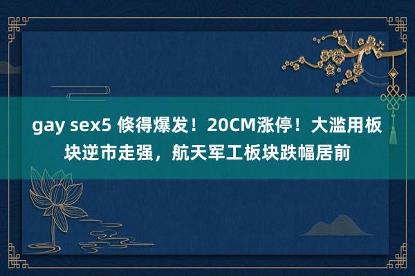 gay sex5 倏得爆发！20CM涨停！大滥用板块逆市走强，航天军工板块跌幅居前