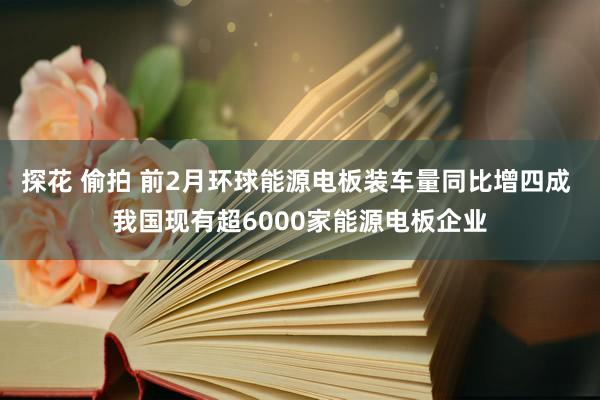 探花 偷拍 前2月环球能源电板装车量同比增四成 我国现有超6000家能源电板企业