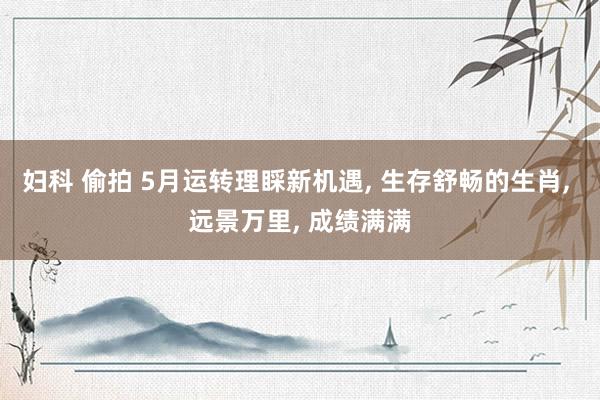 妇科 偷拍 5月运转理睬新机遇， 生存舒畅的生肖， 远景万里， 成绩满满